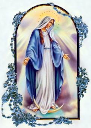 Mary Blue Rose with rosary 178x250